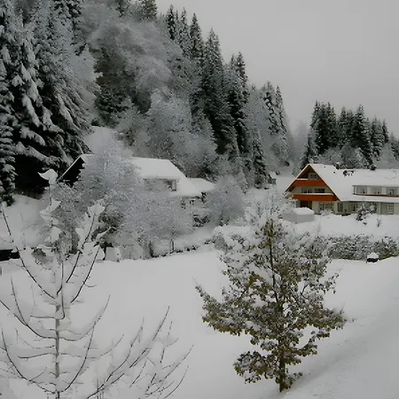 Hetzlenmuehle * Gorwihl